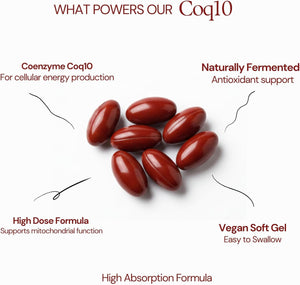 CoQ10 Supplement High Strength, Fermented Coenzyme Q10 500mg | 120 Softgels