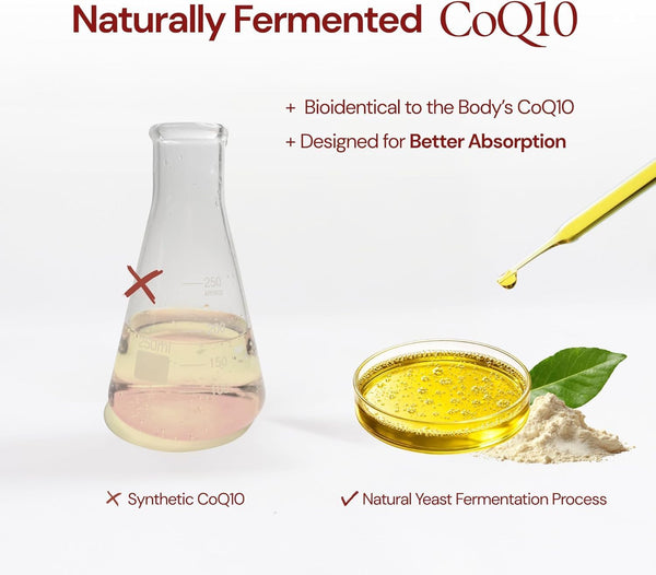 CoQ10 Supplement High Strength, Fermented Coenzyme Q10 500mg | 120 Softgels